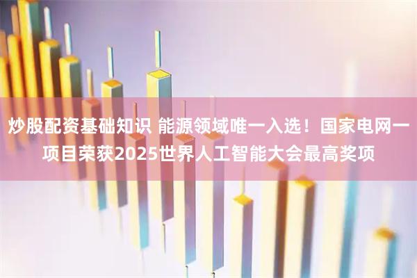 炒股配资基础知识 能源领域唯一入选！国家电网一项目荣获2025世界人工智能大会最高奖项
