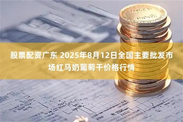 股票配资广东 2025年8月12日全国主要批发市场红马奶葡萄干价格行情